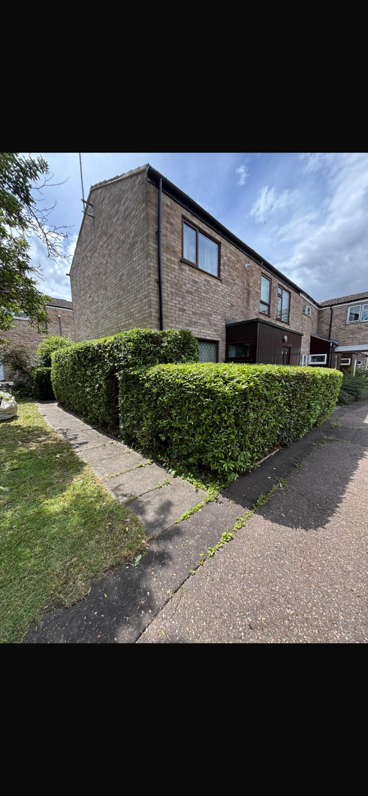 Hedge trimming before service - overgrown and uneven garden hedges requiring professional cutting