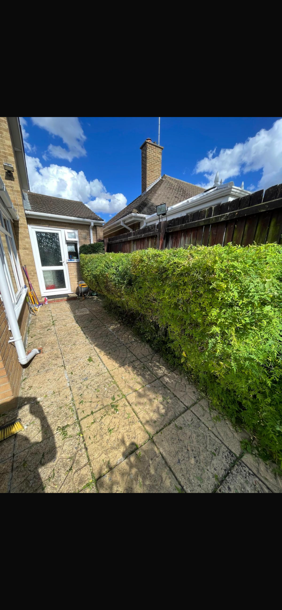 Hedge trimming before landscaping work - overgrown boundary hedge in need of shaping