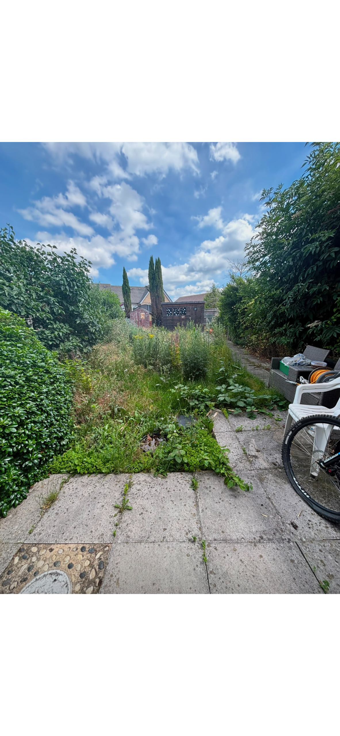 Garden transformation after landscaping - freshly restored and professionally maintained outdoor garden space