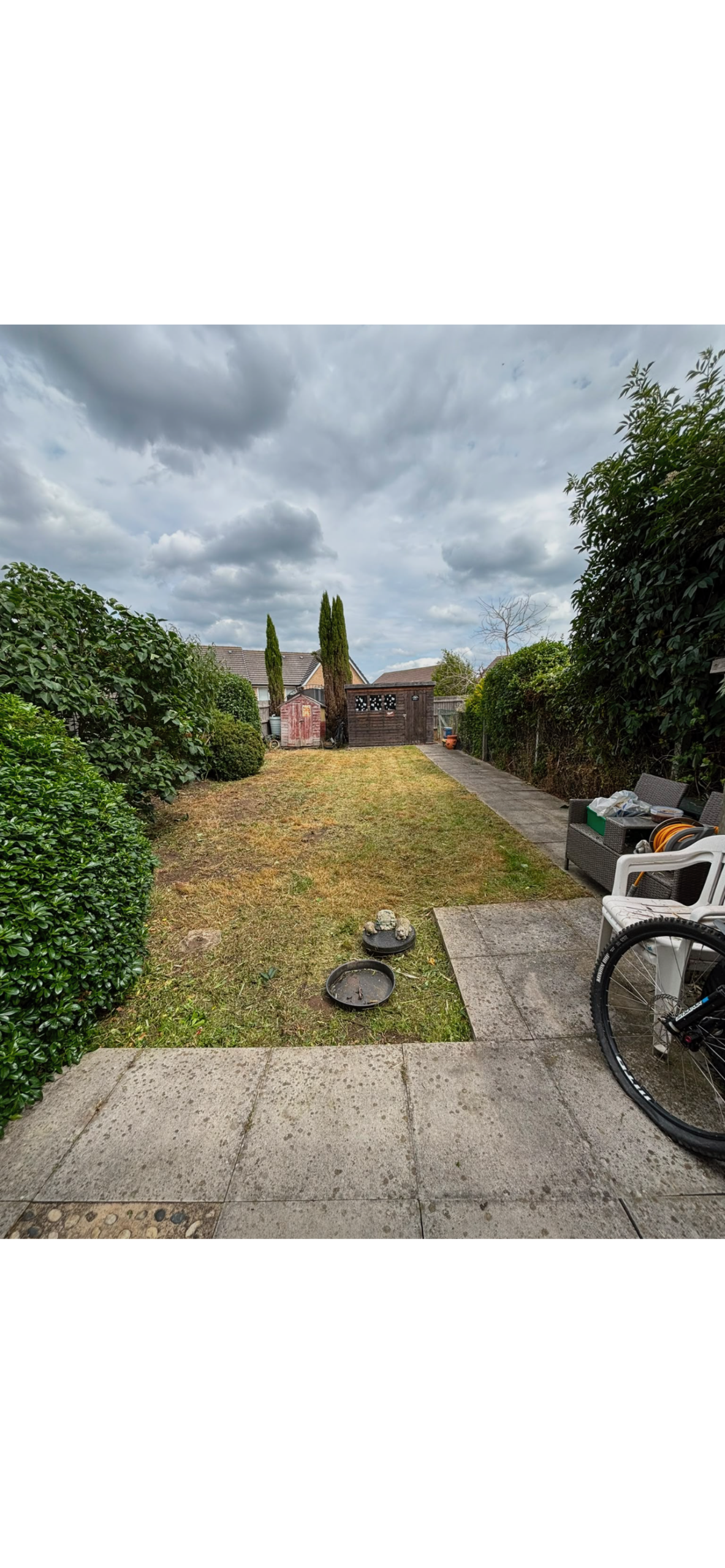 Garden transformation before landscaping - overgrown outdoor space in need of professional garden maintenance