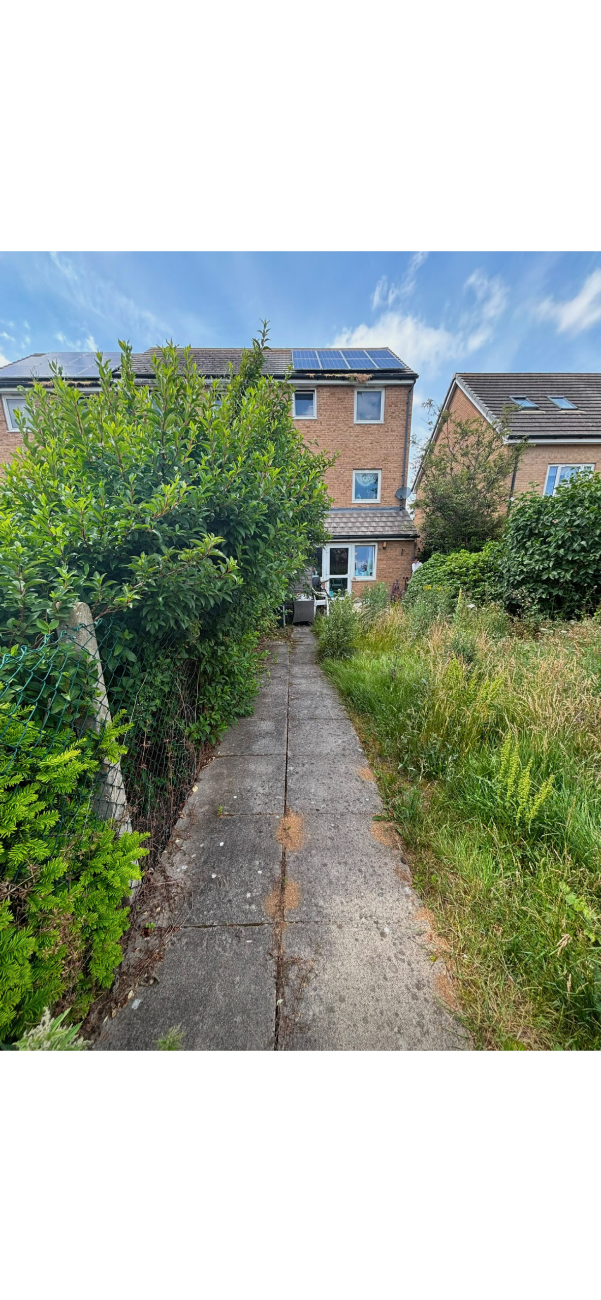 Garden after renovation - neatly landscaped lawn with improved outdoor appearance and clean finish