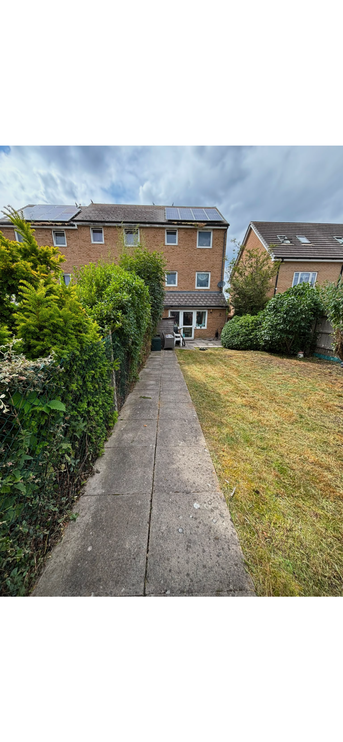 Garden before renovation - unkempt lawn and overgrown plants requiring clearance and landscaping