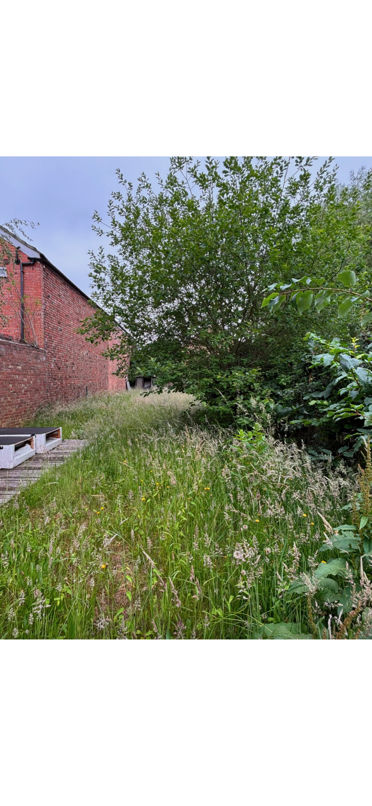 Garden after clearance and landscaping - clean, organised outdoor space with improved visual appeal
