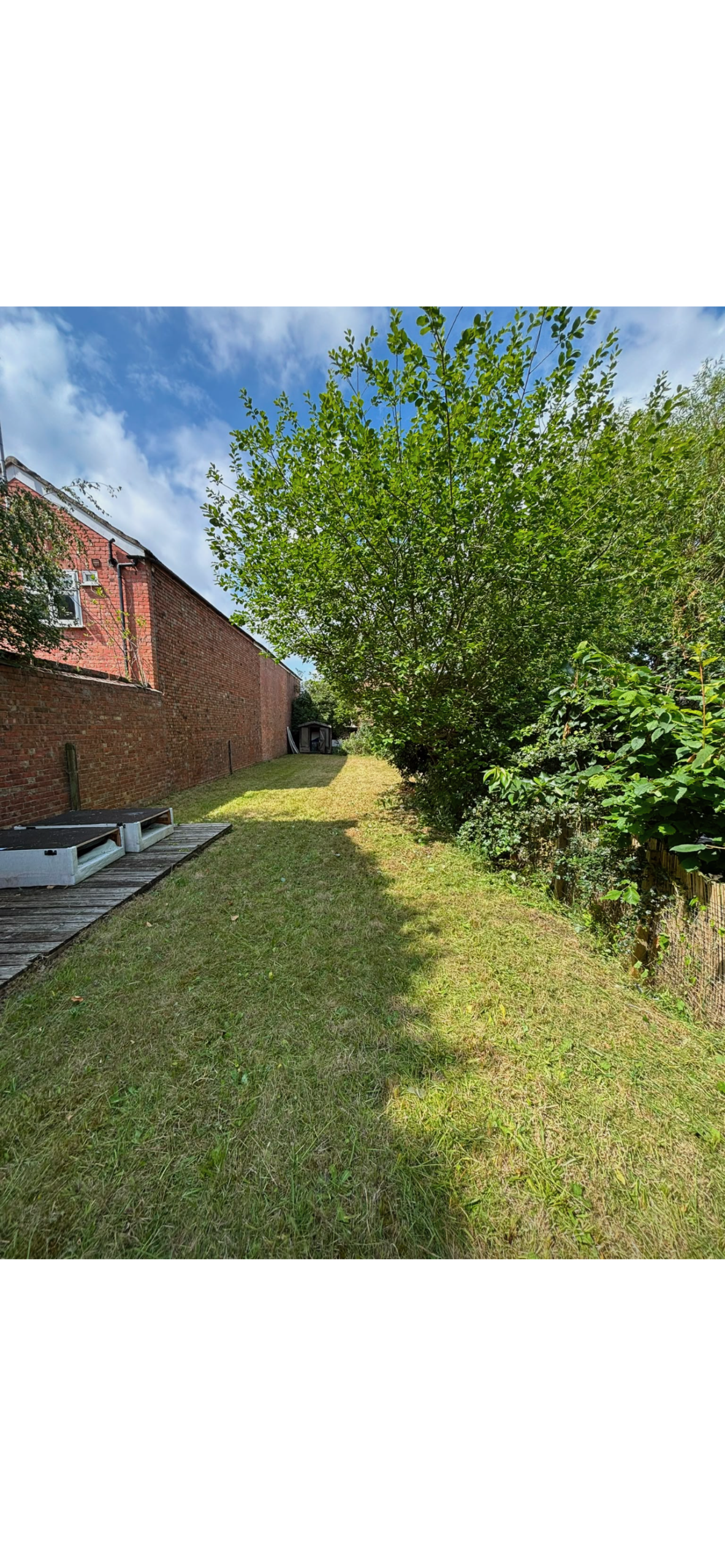 Garden before clearance work - messy outdoor area with overgrowth and lack of maintenance